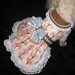 Dog dress--Pink and Blue Birds