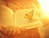 Golden Sunlight and Butterfly Book - Fine Art 10'' x 7'' Photographic Print