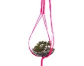 neon pink macrame plant hanger with glass bowl (plant and soil not included) and twig hook