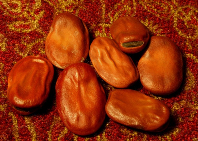 Mojo Beans - Wishing - hoodoo -St. Joseph - luck - money - magic - wicca