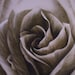 Hand Painted Scenic Photography Backdrop, Photo Background 8X10 RS-1