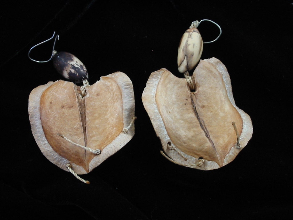 Brazilian Rain Forest Earrings