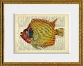 COLORFUL TROPICAL FISH recycled book page art print - upcycled antique dictionary page with a retooled antique ocean illustration - wall art