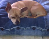 DUVET 30x30 Handmade Square Pet Blue Denim Jeans Dog Pillow CASE Dog Cat Durable Washable Custom Size Buttons hand made