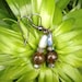 Labradorite Earrings