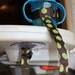 Bottle Tether, Toy Tether, Sippy Strap with Suction Cup-Green Polka Dots