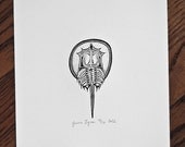 Horseshoe Crab Letterpress 8.5 x 11 Print