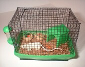 Cream colored tiny pet rat for Hitty dolls, polymer clay pet with cage and accessories by -TES-