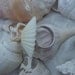 White Scallop Sea Shell Ring