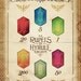 Legend of Zelda - Tingle's Ring of Rupees of Hyrule Kingdom Version - signed museum quality giclée fine art print 16" x 20"