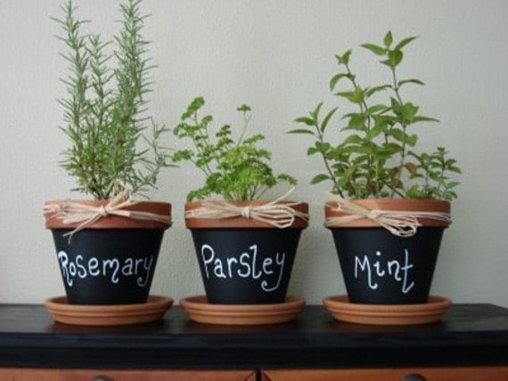 Chalkboard Herb Pots