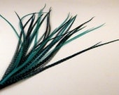Long Hair Feathers Extensions turquoise