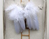Shadow Box Antique Doll Angel Star Assemblage