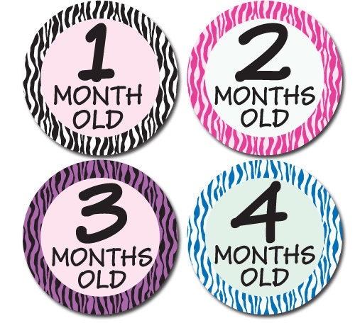 Baby Onesie Sticker for Girls - Zebra - Baby Shower Gift