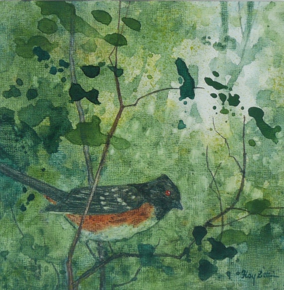 Spotted Towhee Original Painting