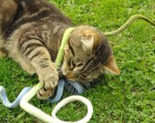 Cat toy/felted cat toy spiral