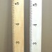 Giant Ruler the color of a "school ruler"