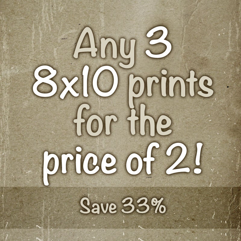 Sale: 3 8x10's for the price of 2 - Landscape Photography - Nature Art Prints - Classic Home Décor