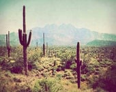 Southwest Photograph, Fine Art Photography, desert landscape, Arizona, vintage, retro, 8x10 photo - Wild Wild West