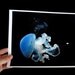 Jellyfish Photography Print, Underwater Ocean Photograph Photo 8x10, Sea Art