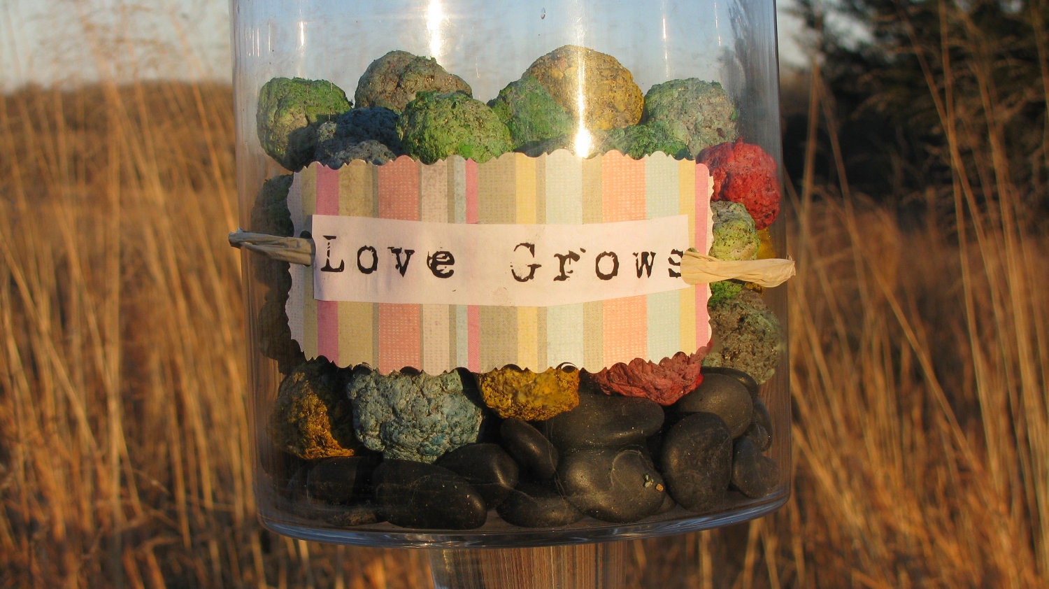 Seed Bomb Favors