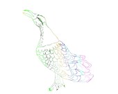 Illustrated Art Print - Colourful Bird - rainbow Illustration - water coloured