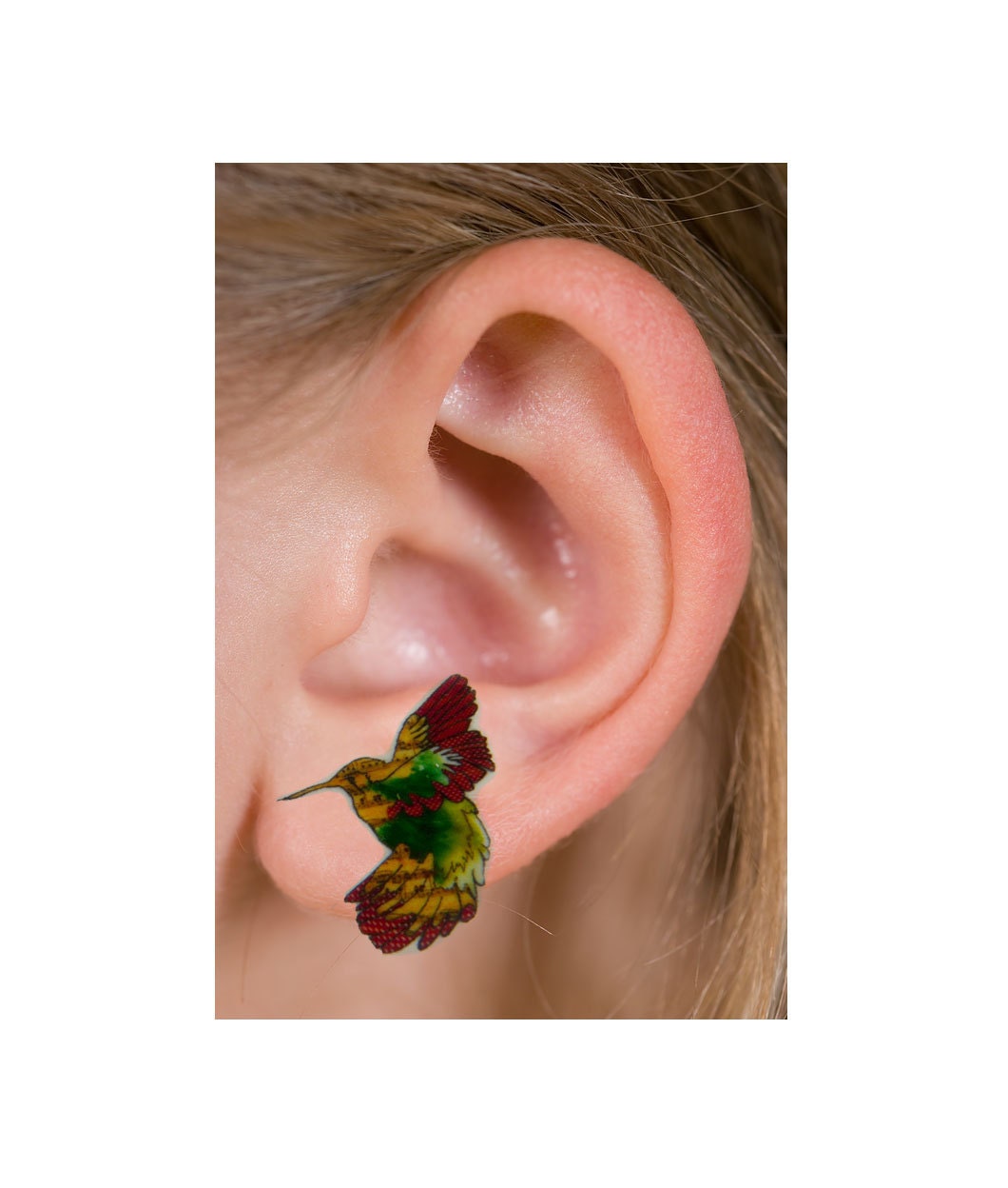 Humming Bird earring - shrink plastic studs  - hand illustrated