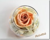 Home decor  " Peach rose on the beach'. Polymer clay flowers. Made to oder.