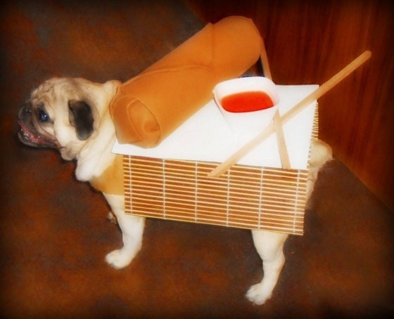 Egg Roll Dog Costume
