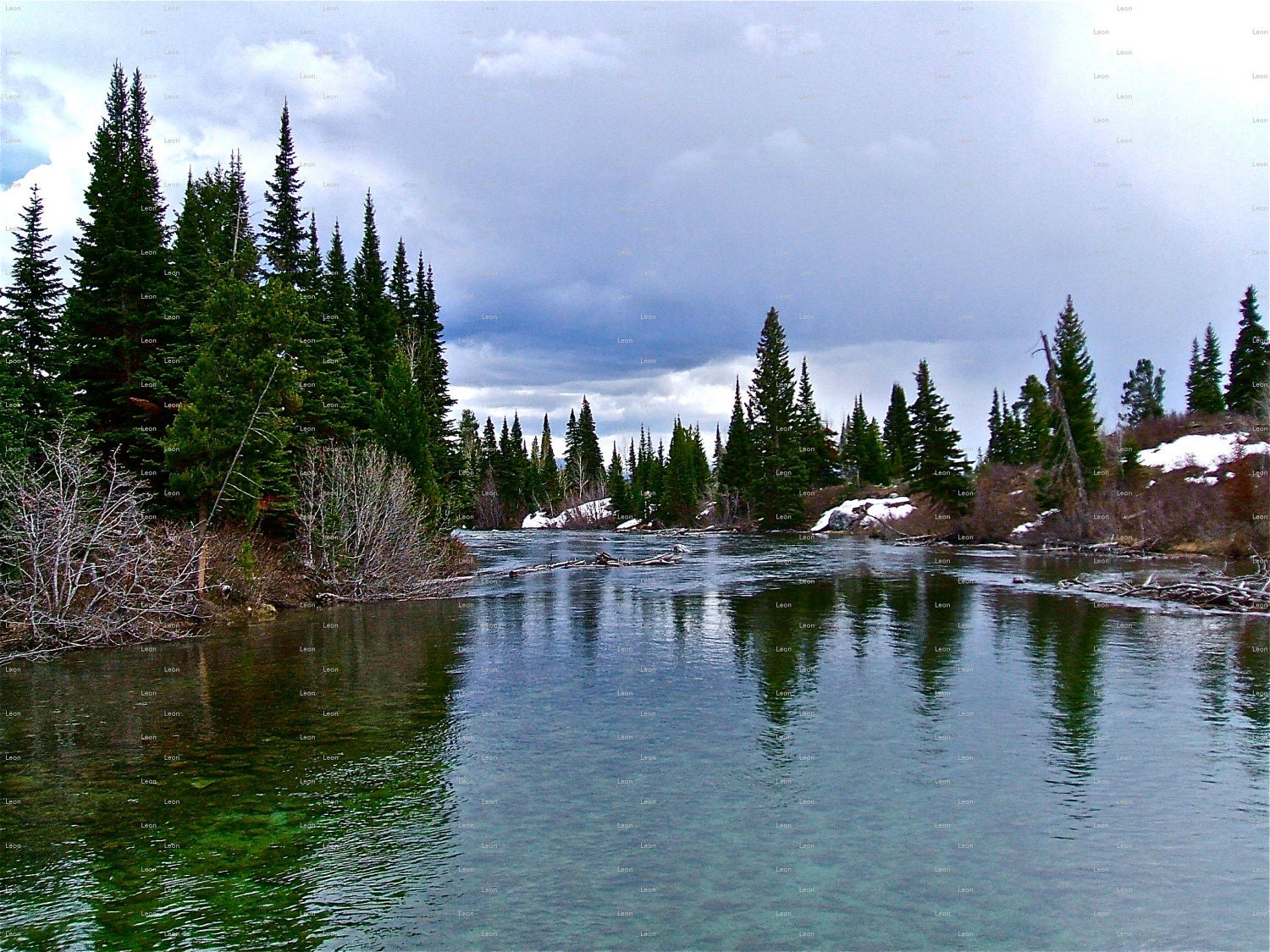 Wyoming River in May, Landscape Photography, Nature Photograph, 8 x 10 Print, Spring Time, Trees, Wall Art, Blues and Greens, Sale