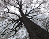 Over Head - Blank 5x7 Note Card