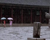 Umbrellas in the rain - aperturejoe