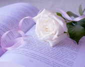 White Rose Book photo 8x12 Fine Art Photography love romantic print still life wall art decor