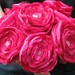 JILLIANNS
