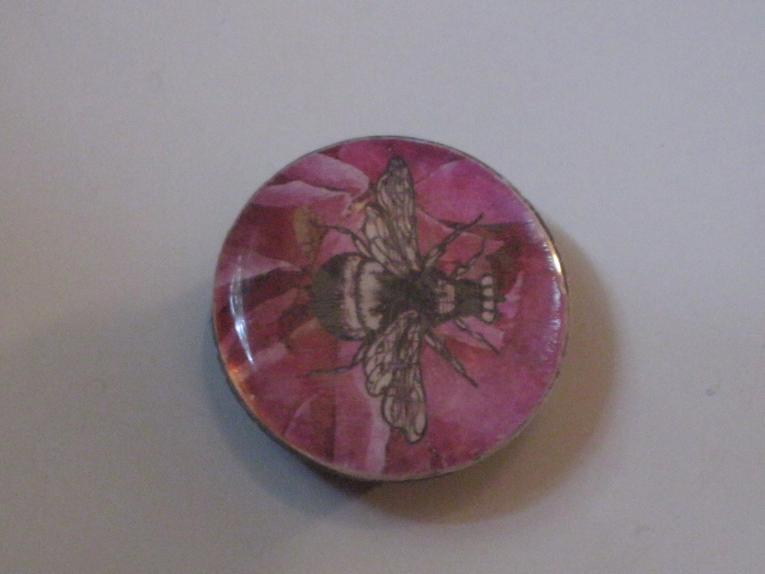 Vintage Fly Illustration on PInk Floral Background Round Button Magnet