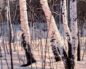 Six-color linocut print of white birch trees in afternoon winter light, entitled "Paper Shadows"