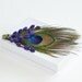 Peacock Feather Lavender Jewelry Gift Box Wedding