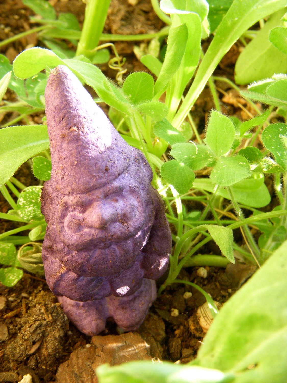 Mini Garden Gnome Seed Bomb