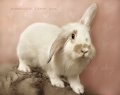 Some Bunny Loves You - Adorable White Rabbit Pink Sweet Quote Nursery Decor Children Girl Girly Room Pastel Wall Art 8x10 Photograph