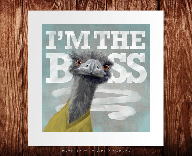 I am the Boss - An ostrich on a rustic light blue background (poster 8x8) Illustration fine art giclée prints