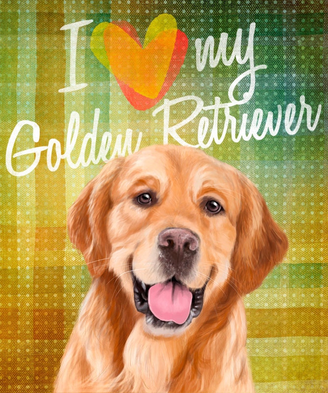 I love my dog A Golden Retriever on colorful background (poster 8x10) Illustration fine art giclée prints