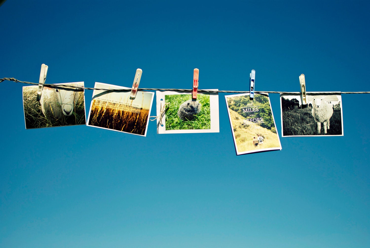 Package of three 365NZ postcards
