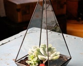Obelisk Terrarium //made with recycled glass// - megamyers