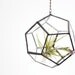 Hanging //recycled glass// Terrarium - Small Dodecahedron