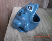 Poison Dart Frog paper clip or sponge holder