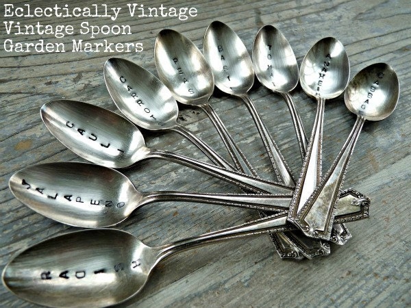 Engraved Vintage Spoon