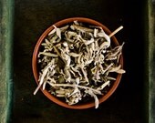 Sage of Crete - Dried Herb from Crete, Greece