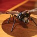 Bugz (Recycled Metals)