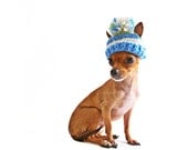 Chihuahua, pet photography, knited, hat, dog, animal, pet, 8x10, home decor, fine art photography