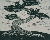 An old bonsai tree, hand drawn and carved black and white linocut print